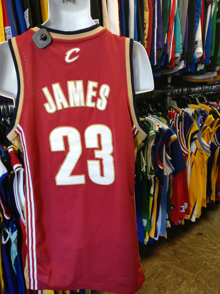 Vintage NBA Reebok LeBron James Cleveland Cavaliers #23 Authentic Sewn Basketball Jersey