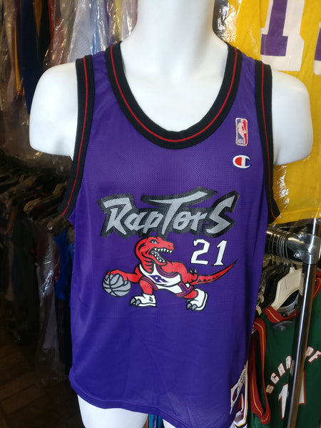 Nike, Shirts, Nwt Marcus Camby Toronto Raptors 2 Purple Dinosaur Swingman  Nba Jersey Xl