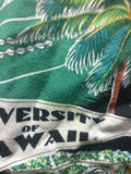 VtgUNIVERSITY OF HAWAII RAINBOW WARRIORS Reyn Spooner Hawaiian Shirt3XL