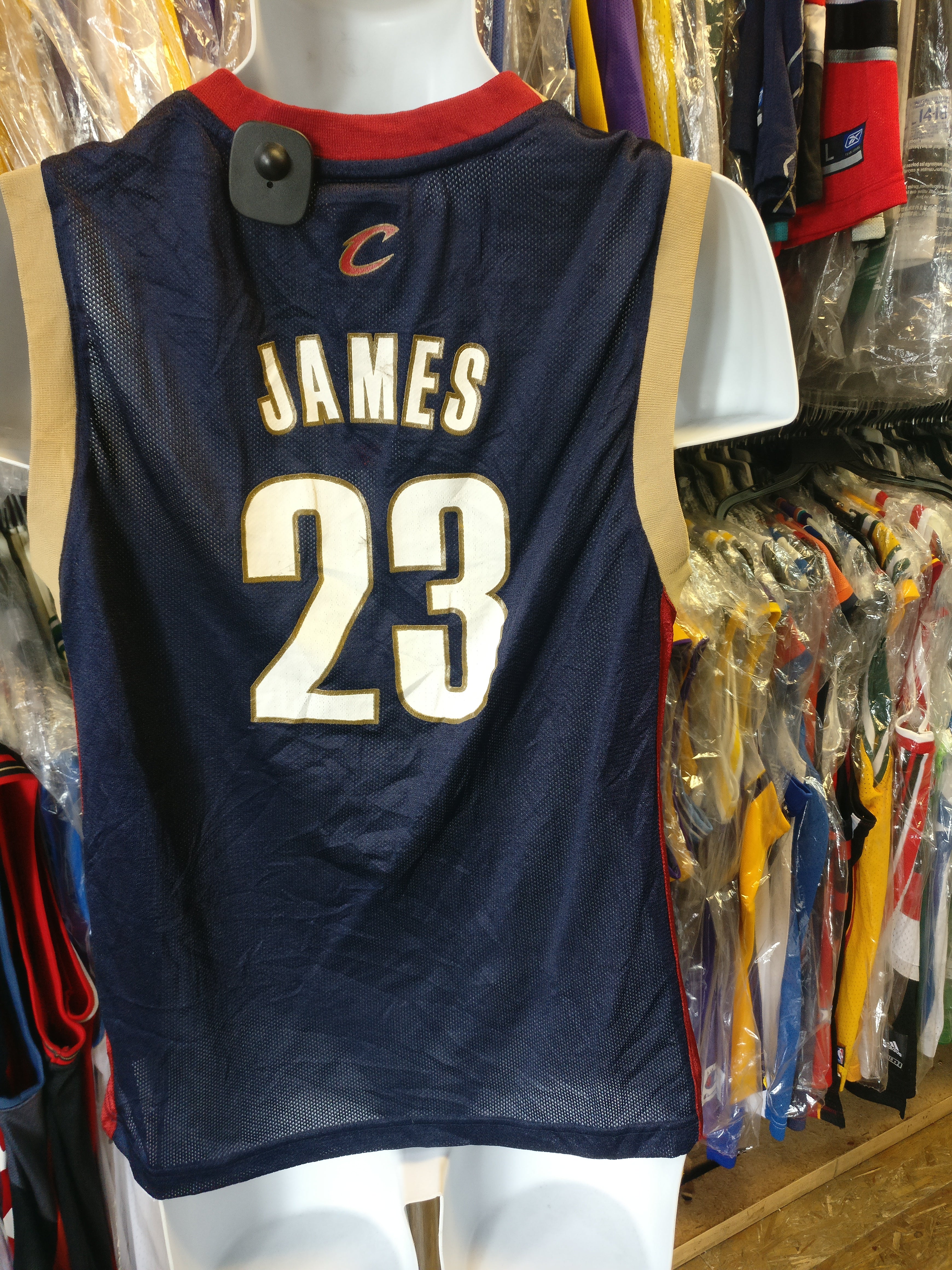 Vintage #23 LEBRON JAMES Cleveland Cavaliers NBA Reebok
